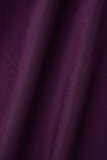 Púrpura Elegante Sólido Patchwork Doble O Cuello Falda Lápiz Vestidos