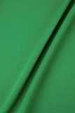 Verde Casual Solido Patchwork Colletto risvoltato Manica lunga Tre pezzi