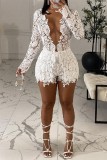 White Sexy Casual Solid Hollowed Out See-through V Neck Long Sleeve Two Pieces