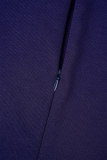 Deep Blue Casual Solid See-through Turndown Collar Long Sleeve Dresses