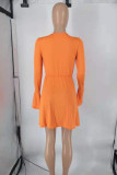 Tangerine Red Celebrities Solid Patchwork O Neck A Line Dresses
