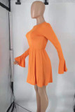 Tangerine Red Celebrities Solid Patchwork O Neck A Line Dresses