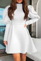 White Elegant Solid Patchwork Turtleneck A Line Dresses