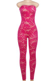 Rose Red Sexig Solid Patchwork Strapless Skinny Jumpsuits