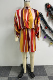 Multicolor Casual Street Daily Elegant Striped Printing Contrast Half A Turtleneck Dresses