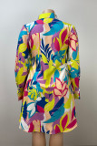 Multicolor Street Color Block Patchwork Buckle Turndown Collar A Line Plus Size Dresses