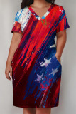Baby Blue Casual Print Patchwork Pocket V Neck Straight Plus Size Dresses