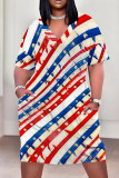 Baby Blue Casual Print Patchwork Pocket V Neck Straight Plus Size Dresses