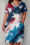Baby Blue Casual Print Patchwork Pocket V Neck Straight Plus Size Dresses