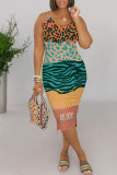 Orange Casual Geometric Print Leopard V Neck Printed Dresses