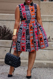Multicolor Casual Sweet Daily Elegant Simplicity Mixed Printing Printing Contrast O Neck Dresses