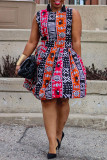 Multicolor Casual Sweet Daily Elegant Simplicity Mixed Printing Printing Contrast O Neck Dresses
