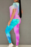 Blue Pink Casual Patchwork O Neck Short Sleeve Two Pieces