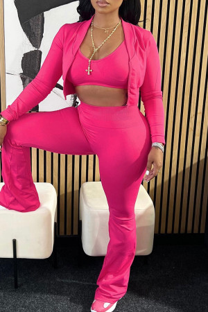 Pink Casual Solid Color Patchwork Zipper Zipper Collar Long Sleeve Three Pieces