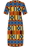 Blue Casual Geometric Print Pocket Contrast V Neck Printed Plus Size Dresses