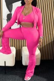 Purple Casual Solid Color Basic Long Sleeve Three Piece Set