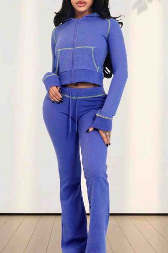 Light Purple Casual Solid Color Draw String Pocket Patchwork Zipper Zipper Collar Long Sleeve Two Pieces