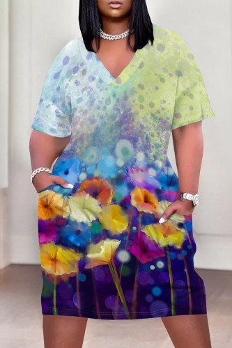 Multicolor Casual Print Pocket V Neck Short Sleeve Plus Size Dresses