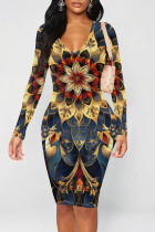 Golden Blue Graphic Print V Neck Long Sleeve Casual Outing Bodycon Midi Dress