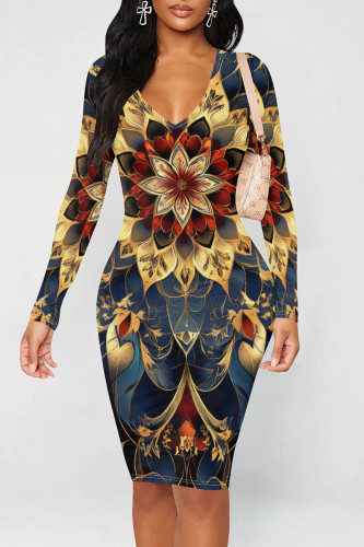 Golden Blue Graphic Print V Neck Long Sleeve Casual Outing Bodycon Midi Dress