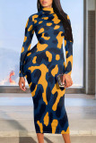 Colour Graphic Print Mock Neck Long Sleeve Bodycon Maxi Dress