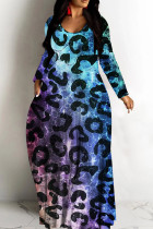 Blue Graphic Print V Neck Long Sleeve Casual Outings Vacation Straight Baggy Maxi Dresses