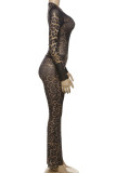 Leopard Print Mesh Two Piece Pant Set Clubwear Party Sheer Long Sleeve Top and Bodycon Flare Pants 2 Piece Outfit