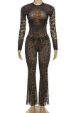 Leopard Print Mesh Two Piece Pant Set Clubwear Party Sheer Long Sleeve Top and Bodycon Flare Pants 2 Piece Outfit