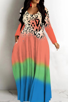 Colour Leopard Print Deep V Neck Long Sleeve Casual Outing Vacation Straight Loose Maxi Dress