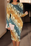 Multicolor Casual Street Geometric Print Contrast O Neck Printed Dresses