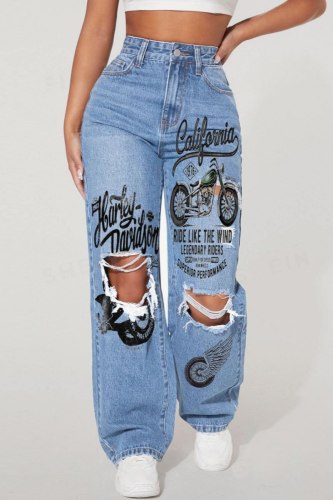 Baby Blue Casual Daily Print Hollow Out Pocket High Waist Regular Denim Jeans