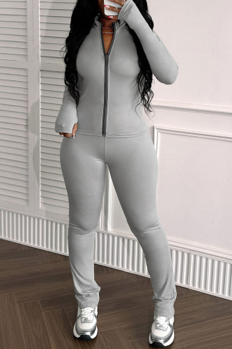 Silver Casual Solid Color Patchwork Zipper Zipper Collar Long Sleeve Two Pieces