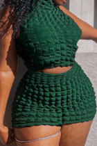 Ink Green Casual Solid Color Patchwork O Neck Plus Size Two Pieces