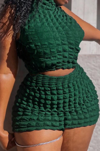 Ink Green Casual Solid Color Patchwork O Neck Plus Size Two Pieces
