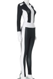 Black Casual Zipper Solid Color Zipper Collar Long Sleeve Two Pieces