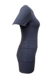 Blue Casual Daily Solid Color Basic O Neck Short Sleeve Two Pieces