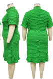 Black Casual Solid Color Zipper Zipper Collar Straight Plus Size Dresses