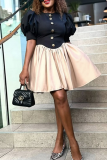 Black Apricot Casual Pocket Buckle O Neck Princess Dresses