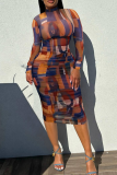 Multicolor Sexy Print See-Through O Neck Long Dresses
