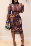 Multicolor Sexy Print See-Through O Neck Long Dresses