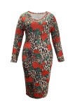Multicolor Casual Daily Print Basic V Neck Long Sleeve Plus Size Dresses
