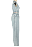 Light Blue Casual Solid Color Zipper Turndown Collar Sleeveless Two Pieces