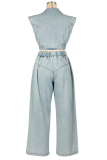 Light Blue Casual Solid Color Zipper Turndown Collar Sleeveless Two Pieces