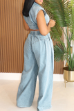 Light Blue Casual Solid Color Zipper Turndown Collar Sleeveless Two Pieces