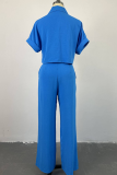 Brown Casual Solid Color Buckle Turndown Collar Short Sleeve Two Pieces