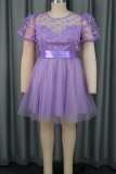 Light Purple Elegant Solid Color Mesh Butterfly O Neck Evening Dresses