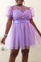 Light Purple Elegant Solid Color Mesh Butterfly O Neck Evening Dresses