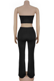 Black Sexy Solid Color Hollow Out Zipper Strapless Sleeveless Two Pieces
