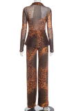 Leopard Print Casual Print Buckle Turndown Collar Long Sleeve Two Pieces