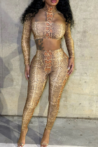 Snake Print Sexy Snakeskin Print Hollow Out Half A Turtleneck Long Sleeve Two Pieces